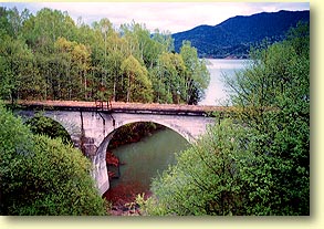 �܂̑򋴗���